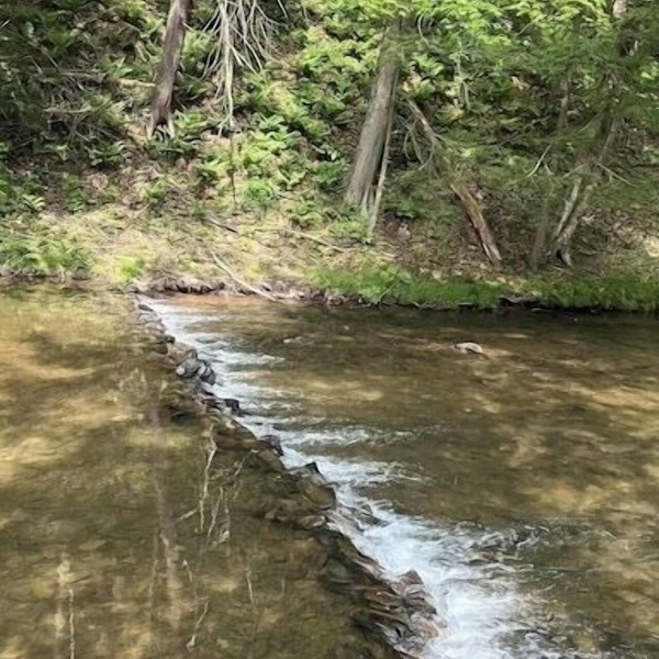 Creekside Cottages, Cottage #2, across from Knoebel's Amusement Resort!