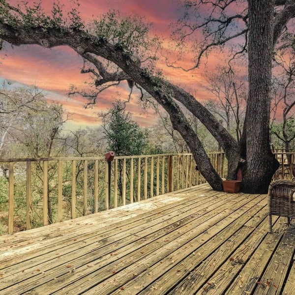 Creekside Historic Treehouse Stay ❤️ Walk to UT & Moody Center | FreeParking