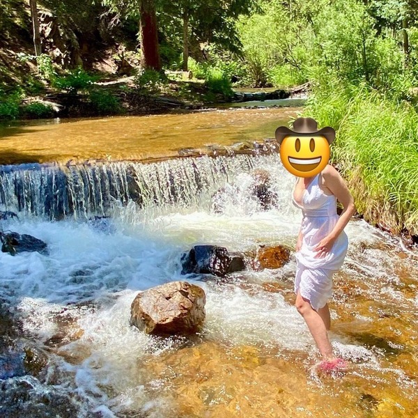 Creekside Oasis in the National Forrest