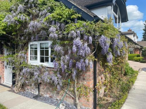 Curlew Cottage