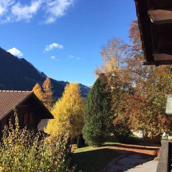 Cute Chalet with Breathtaking Views