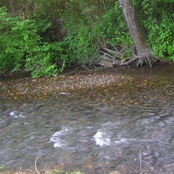 Darling Mountain Getaway/Eight Acres with Secluded Creek Area