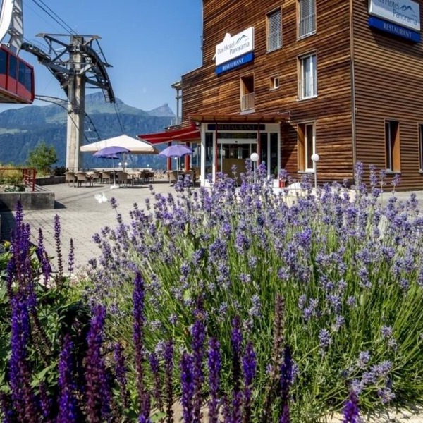 Das Hotel Panorama