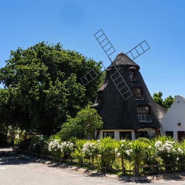 De Hollandsche Molen