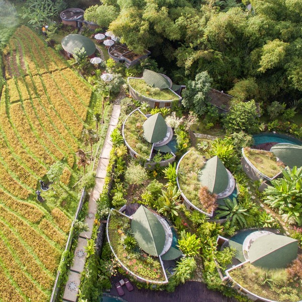 De Moksha Eco Friendly Boutique Resort