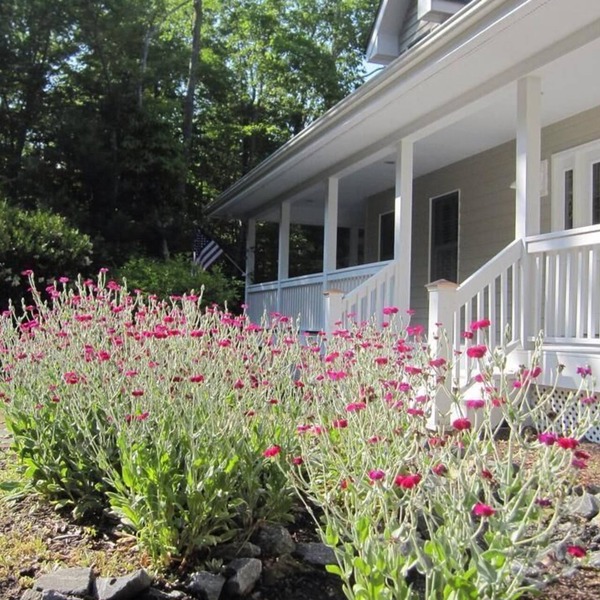 Deer Path -Long-Range Mountain Views, Private Creek, Gas Logs, Fire Pit, 5 Acres