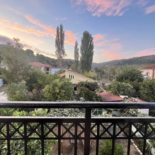 Delfinia Studios