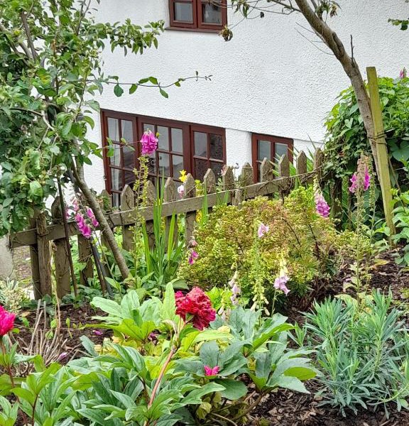 Delightful Devon Cottage