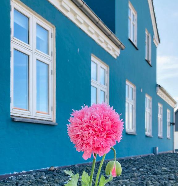 Det blågrønne Hus