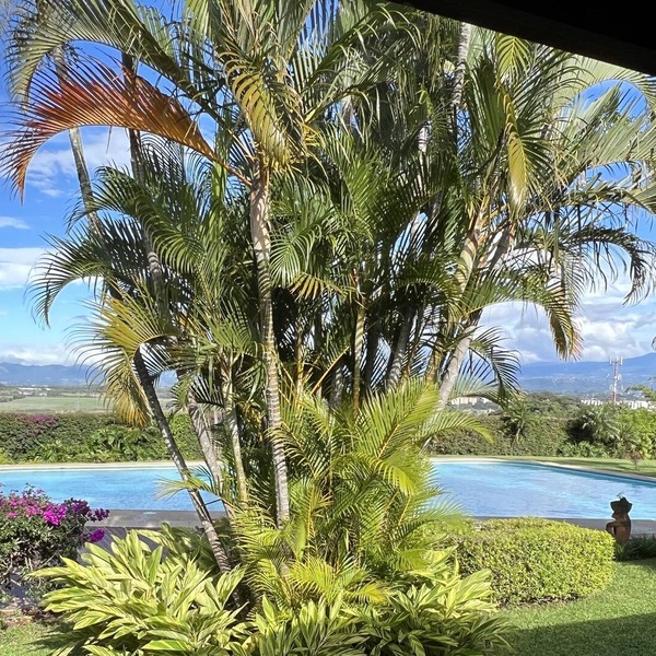 Detached Villa w/private pool & stunning views 20 min from airport
