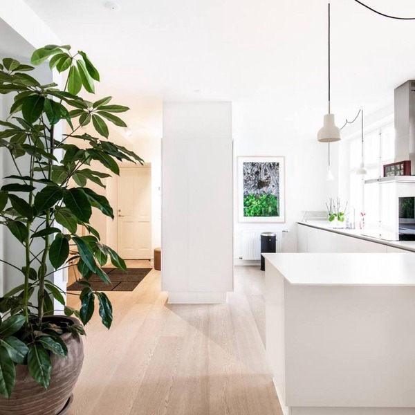Dinesen Collection Condo by Royal Theatre