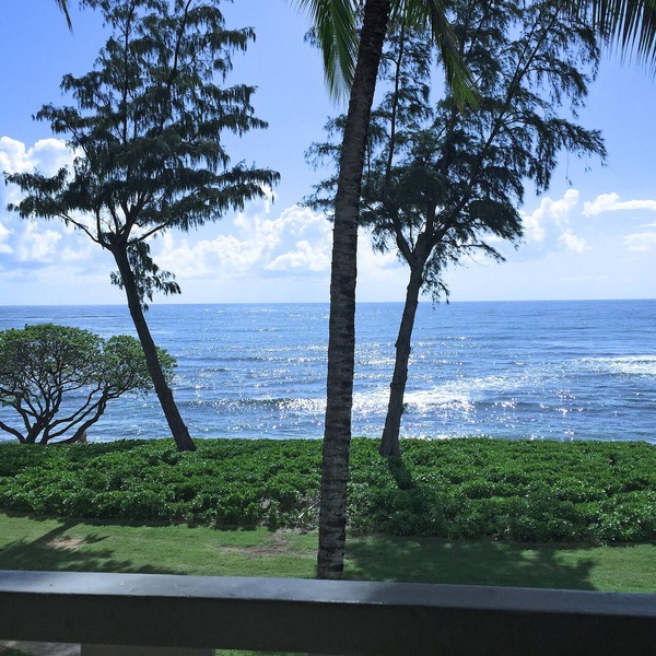 Direct Ocean Front, Top Floor Studio Paradise