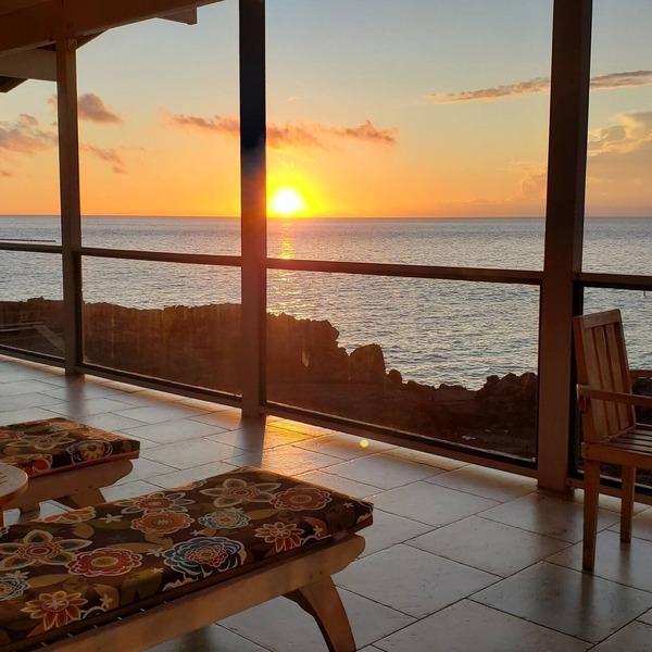 Direct OCEANFRONT, Custom Polynesian Design, See WHALES & DOLPHINS, Sunbathing