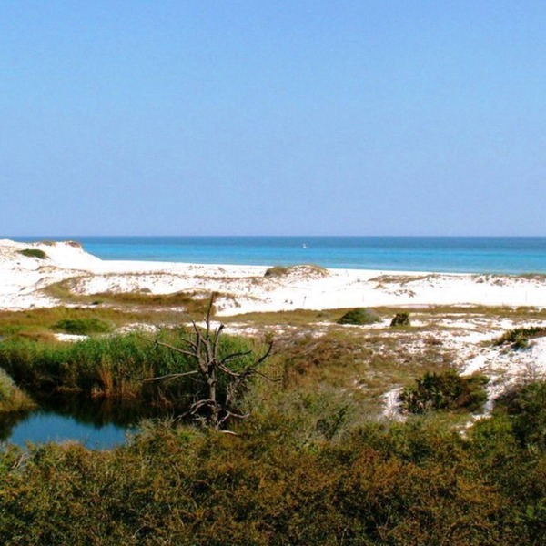 Discover a True Gem by the Sea surrounded by Grayton State Park and the Gulf