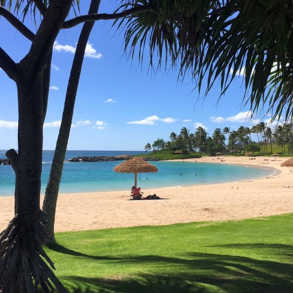 Discover Ko Olina: Exclusive Deals on Your Dream Vacation in Our 2BR Condo