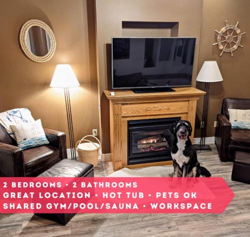 Dog-Friendly Canal Park Condo Hot Tub Pool