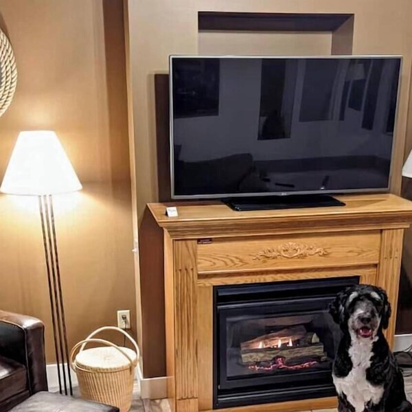 Dog-Friendly Canal Park Condo| Hot Tub| Pool