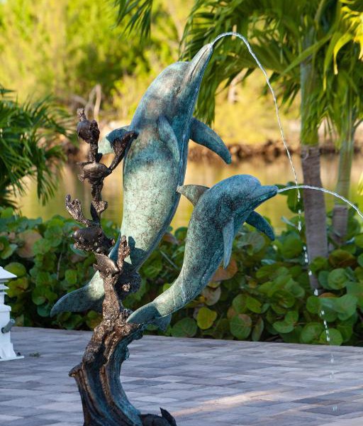 Dolphin Cove