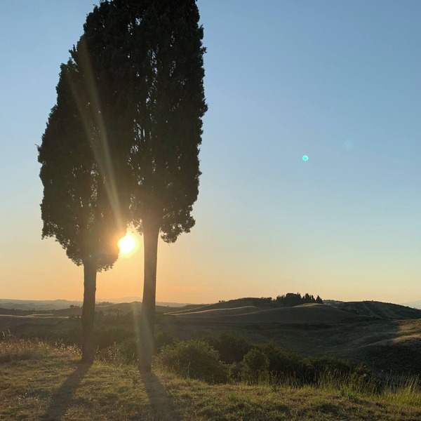 Dreaming in Tuscany