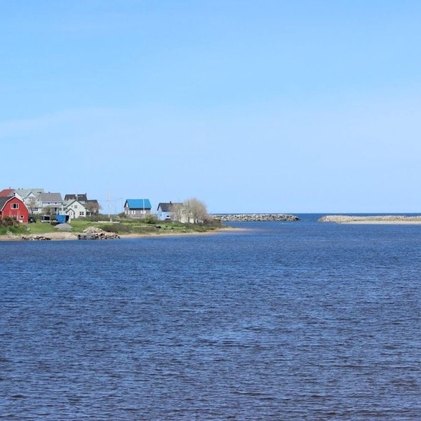 Duck Cove Inn