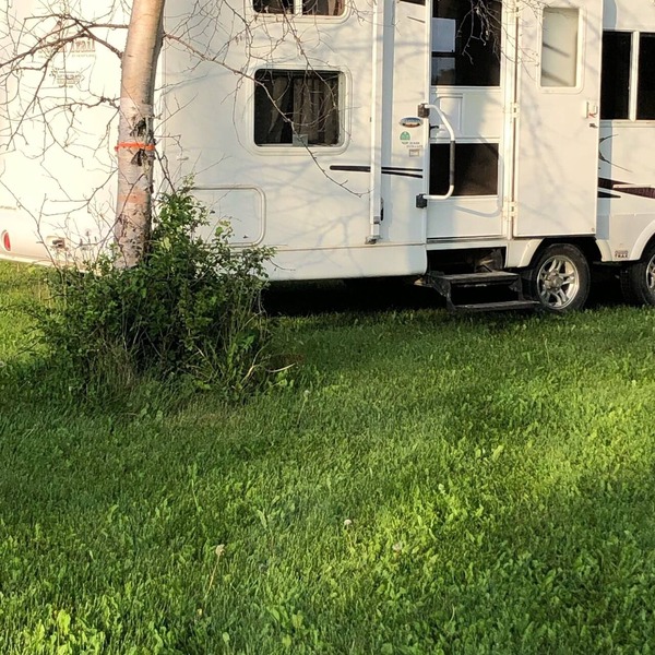 Eagle- Camper at Sunset Bay