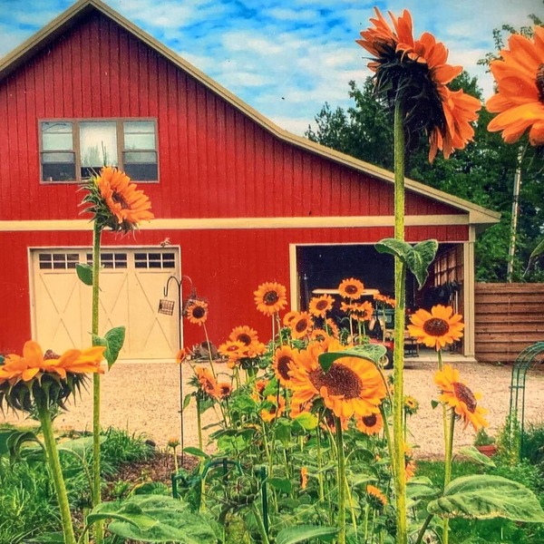 Eclectic studio just a short walk from the quaint village center and harbor