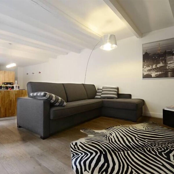 Ecrin à Bijoux - Central and Charming apartment with A/C in historical property