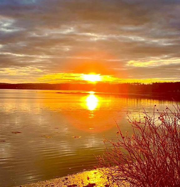 Edgewater sunrise apartment