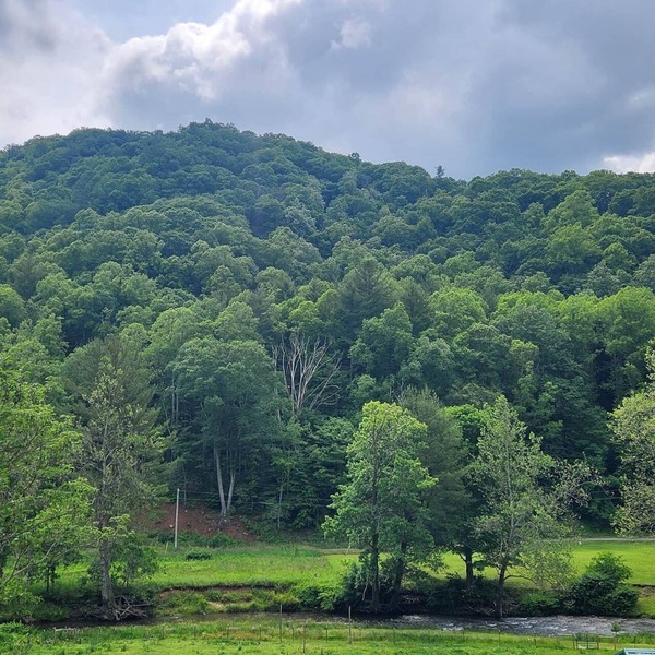 Elk Falls Riverhouse - Mountain Retreat