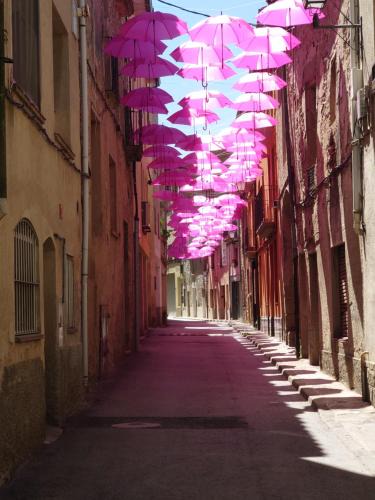 Els Sifons