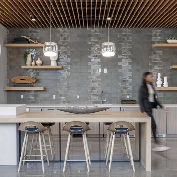 Elysian Residences Boston