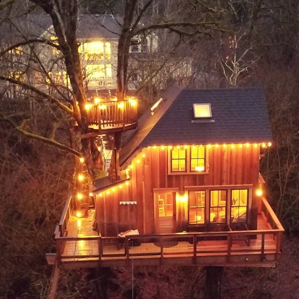 Emerald Forest Treehouse - From Treehouse Masters