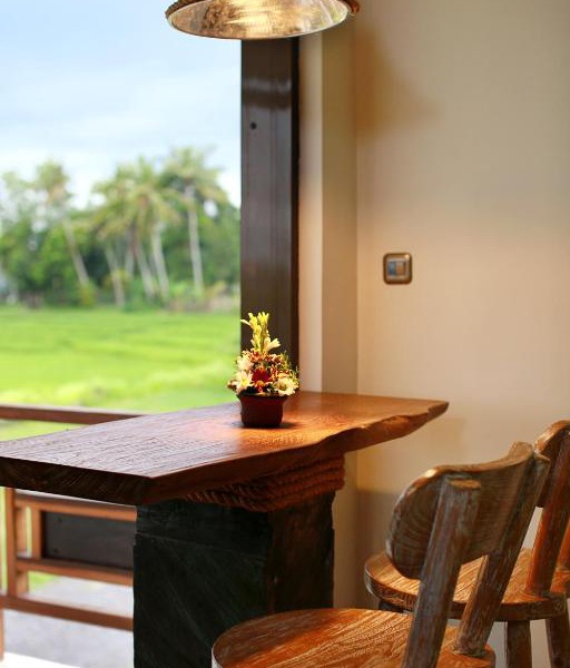 Emerald Studios Paddy View