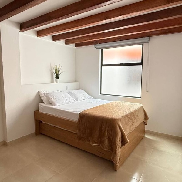 Enjoy an unforgettable stay in the garden