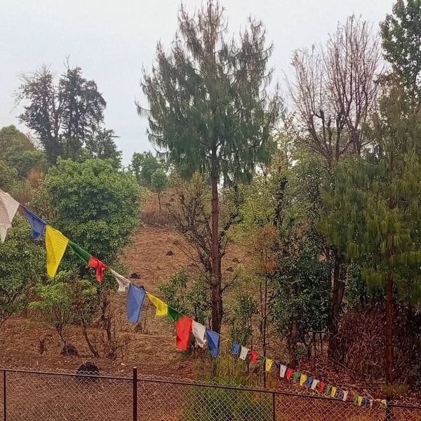 Enjoyable campground retreat in Thapathali perfect for nature lovers
