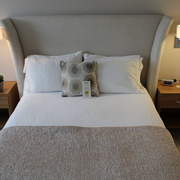 Executive Queen Room in Charming Minneapolis Boutique Hotel