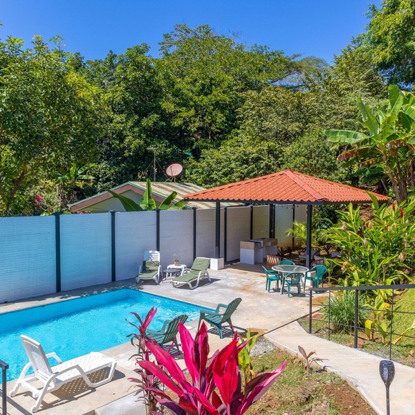 Exotic Iguana Apartmentos 1- 5 mins from the beach