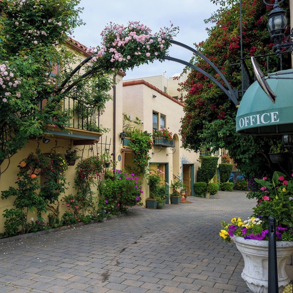 Experience a Tranquil Oasis at Marina Motel -San Francisco's Best Kept Secret!