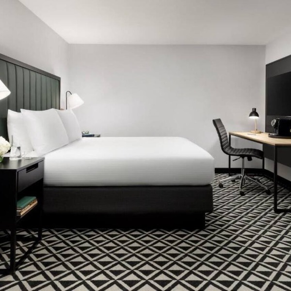 Explore and Unwind in a Beacon Street! Close to Coolidge Corner Theatre