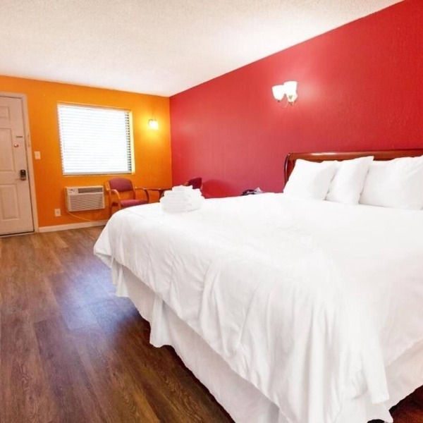 Explore Caverns And Springs W/Pets Allowed Room In Seiling Property