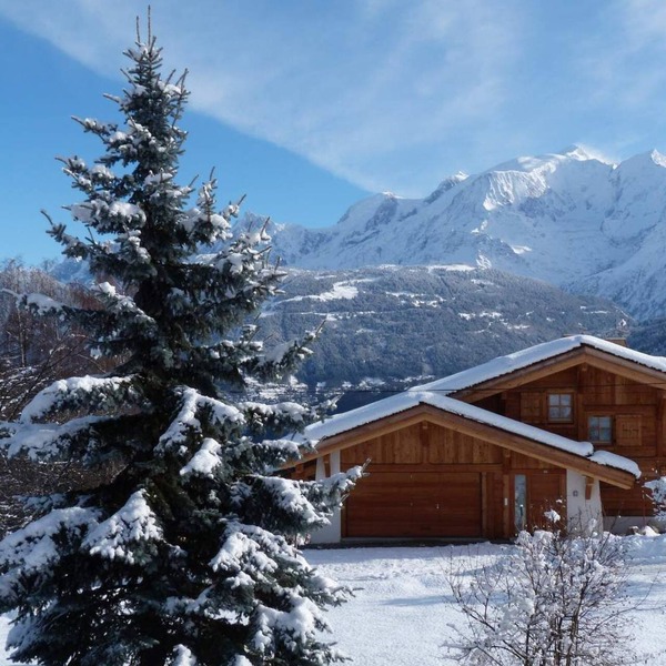 F2 apartment in chalet facing Mont Blanc (pets not allowed)
