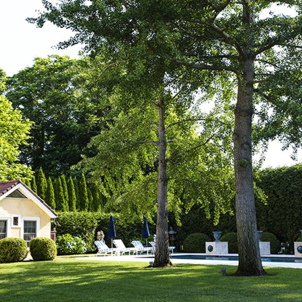 Fairy Tale Guest Cottage in Magic Garden by Pool