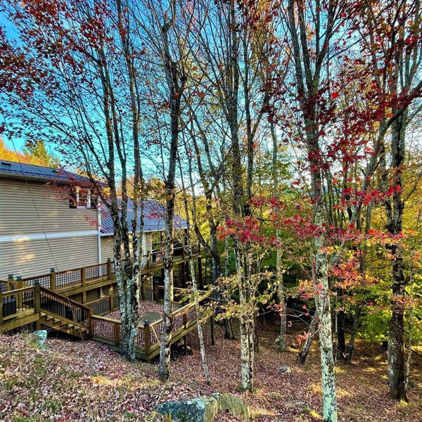 Fall Colors/Amazing Deck w/Fireplace & TV/Hiking/Skiing/Wineries/Pets
