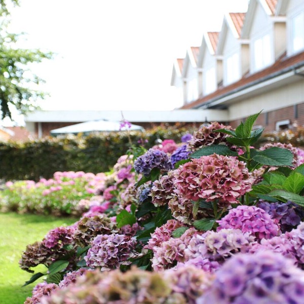 Fangel Kro & Hotel
