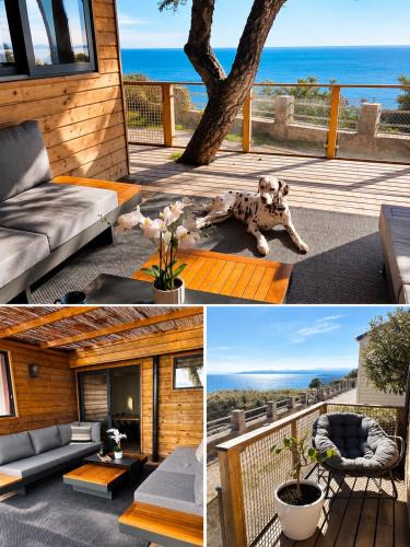 Fantastic new lodge with ocean view