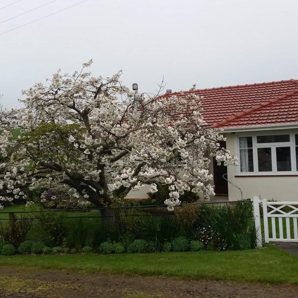 Farm cottage in peaceful setting