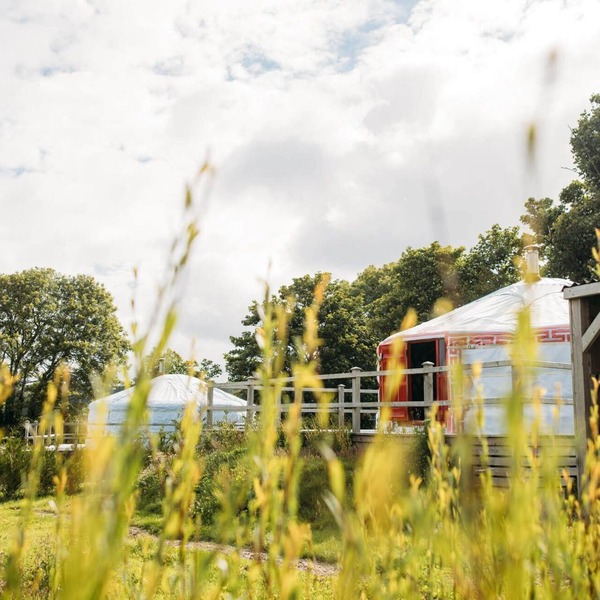 Field Maple - A spacious Mongolian-inspired Yurt in stunning eco-friendly estate near Newquay