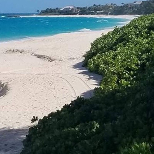 Finally Paradise Island at Down to Earth Pricing!
