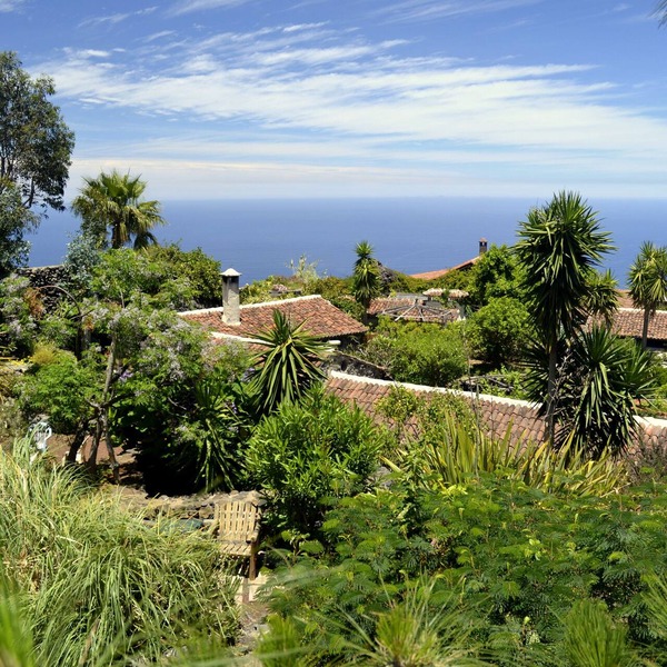 Finca El Lance the green oasis in the north of Tenerife