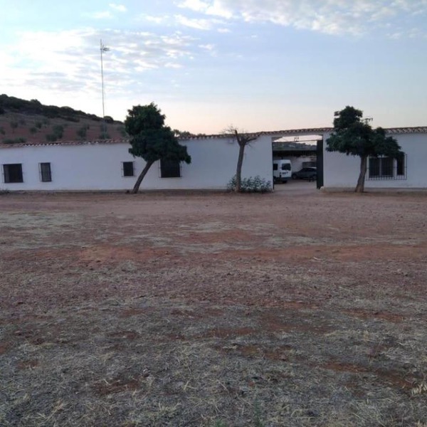 Finca Moral Almendros